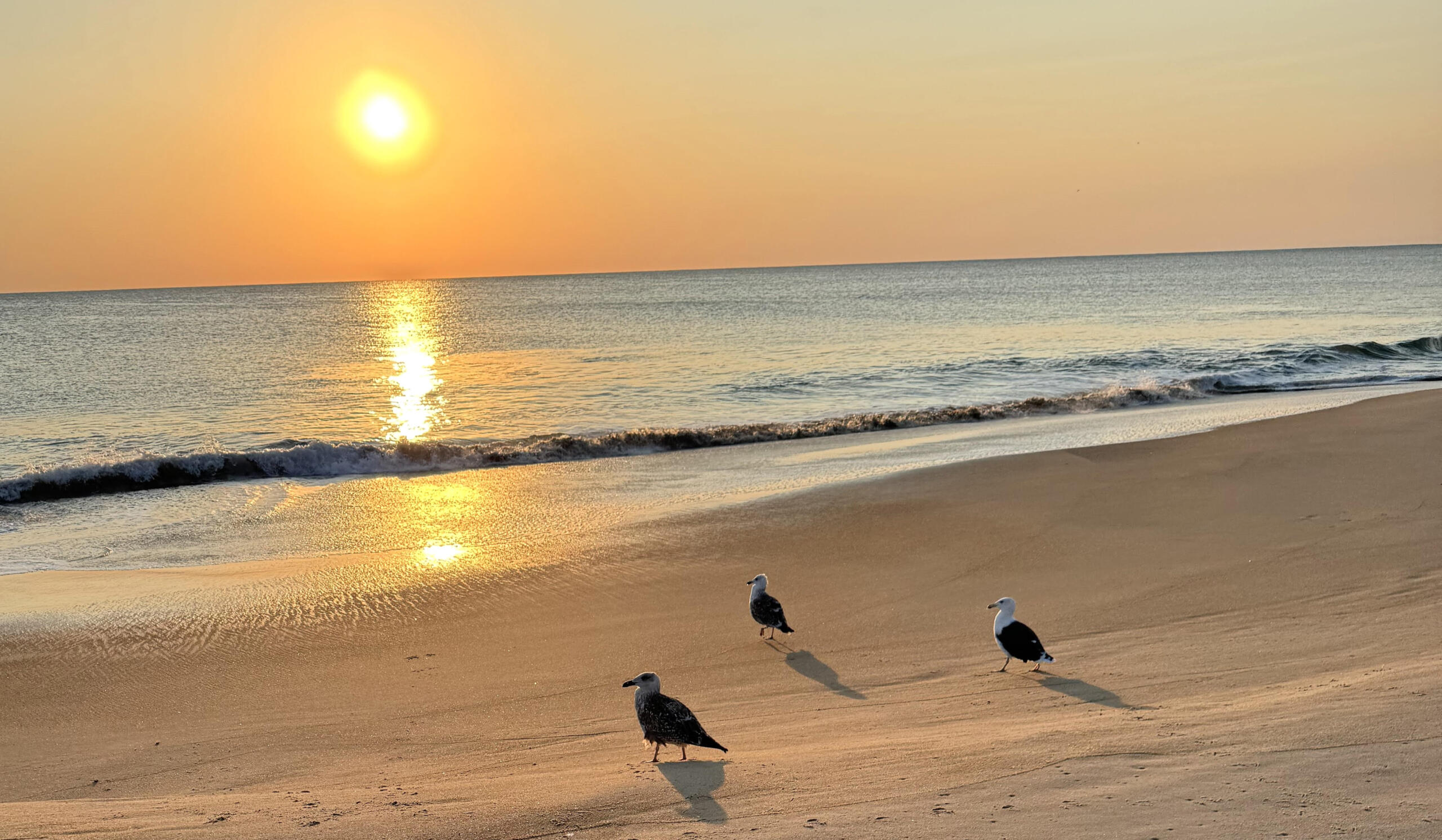 Beach Cove Bliss sunset Beach Cove Bliss view 2